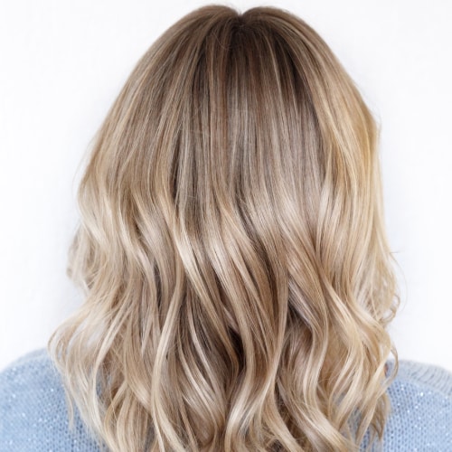Highlights